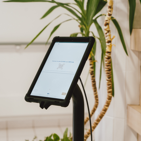 Free-standing bollard